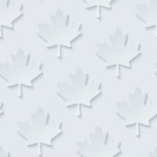 Canadian Red maple leaves seamless wallpaper pattern